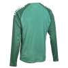 Футболка SELECT Spain v25 player shirt l/s Green